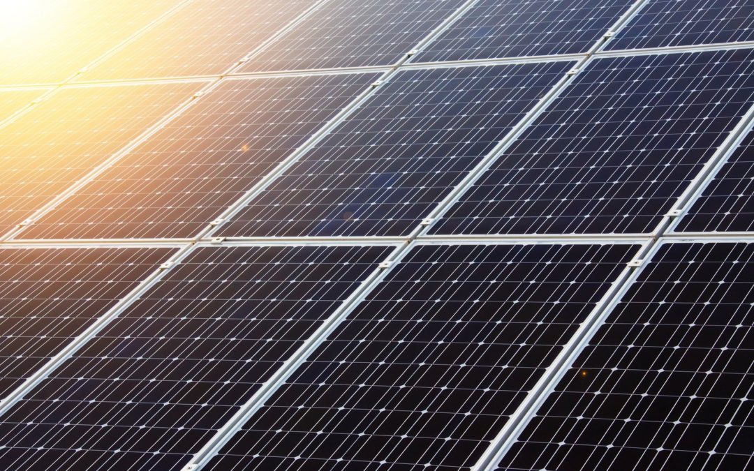 Eolico e fotovoltaico battono il carbone: nel 2019 più energia elettrica da fonti rinnovabili!