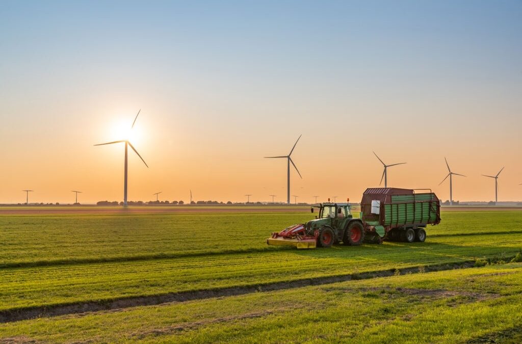 Rinnovabili: puntare sulle agroenergie per aumentare la produzione
