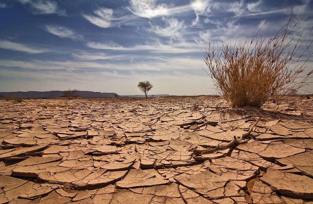 Clima, nel 2022 in Africa danni per 110 milioni di persone